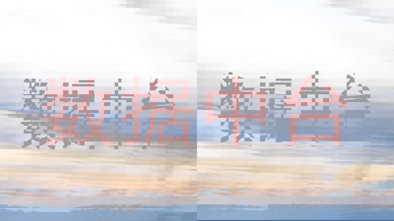 数据中台