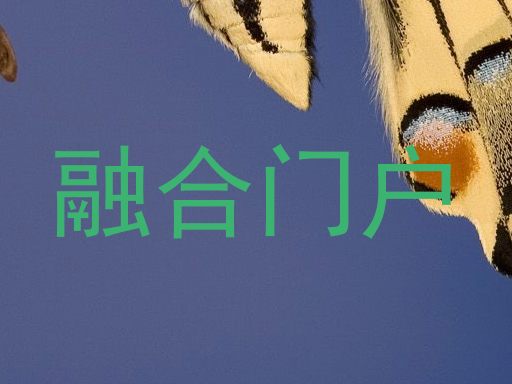 融合门户
