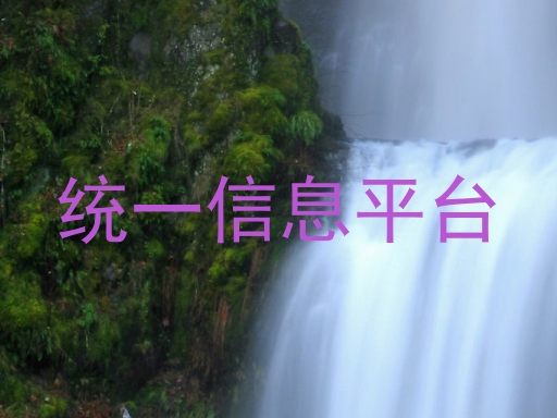 统一信息平台