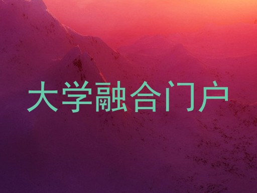 大学融合门户