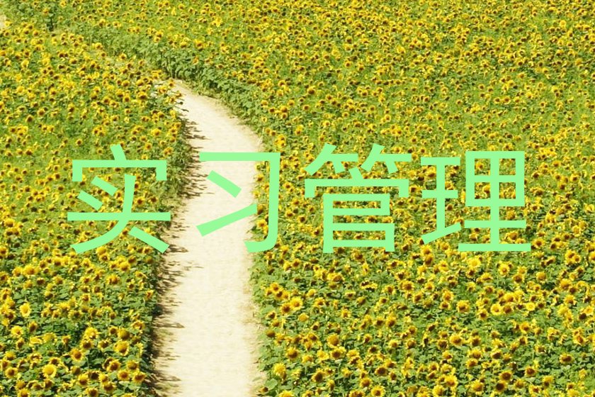 实习管理