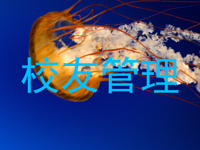 校友管理