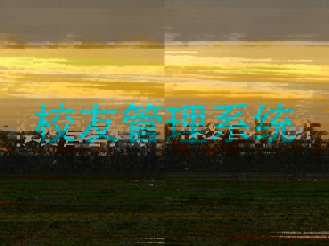 校友管理系统