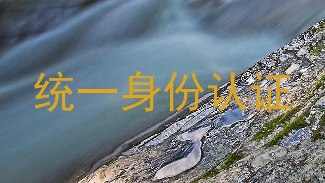 统一身份认证