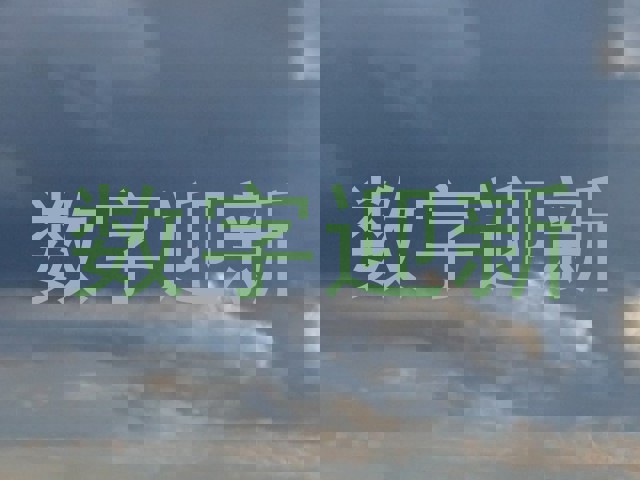 数字迎新