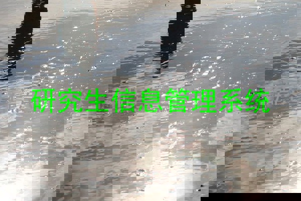 研究生信息管理系统