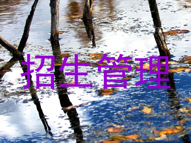 招生管理