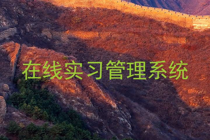 在线实习管理系统