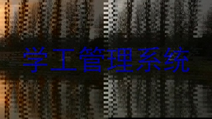 学工管理系统