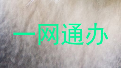一网通办