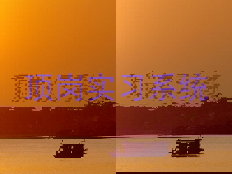 顶岗实习系统