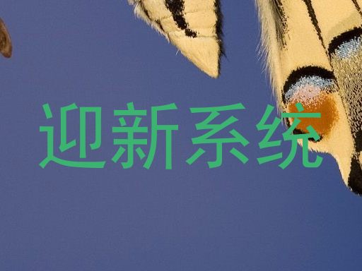 迎新系统