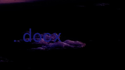 .docx