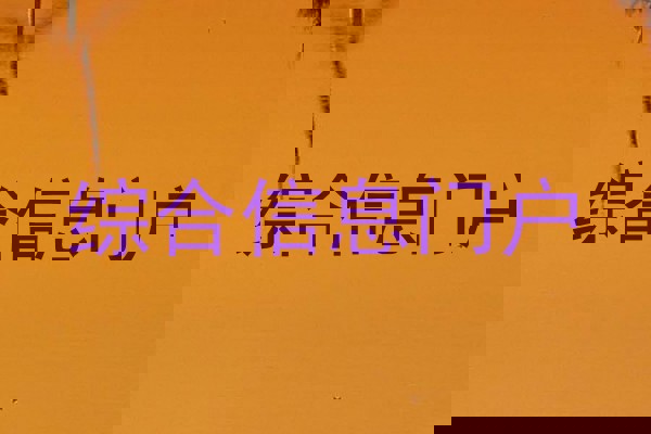 综合信息门户