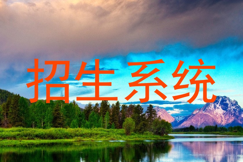 招生系统