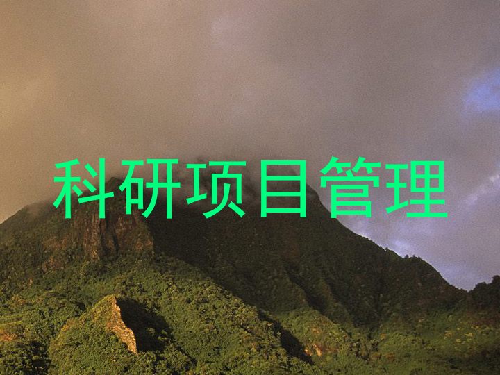 科研项目管理