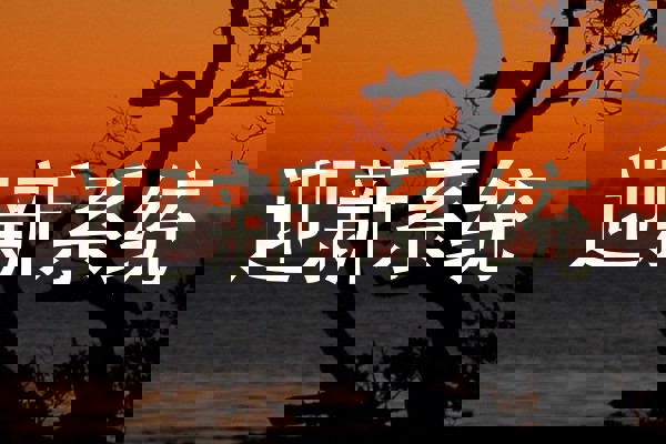 迎新系统