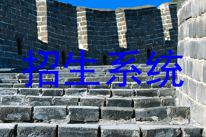 招生系统