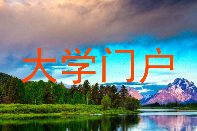 大学门户