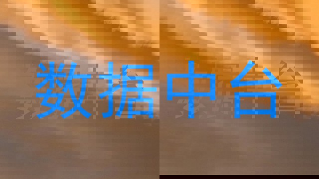 数据中台