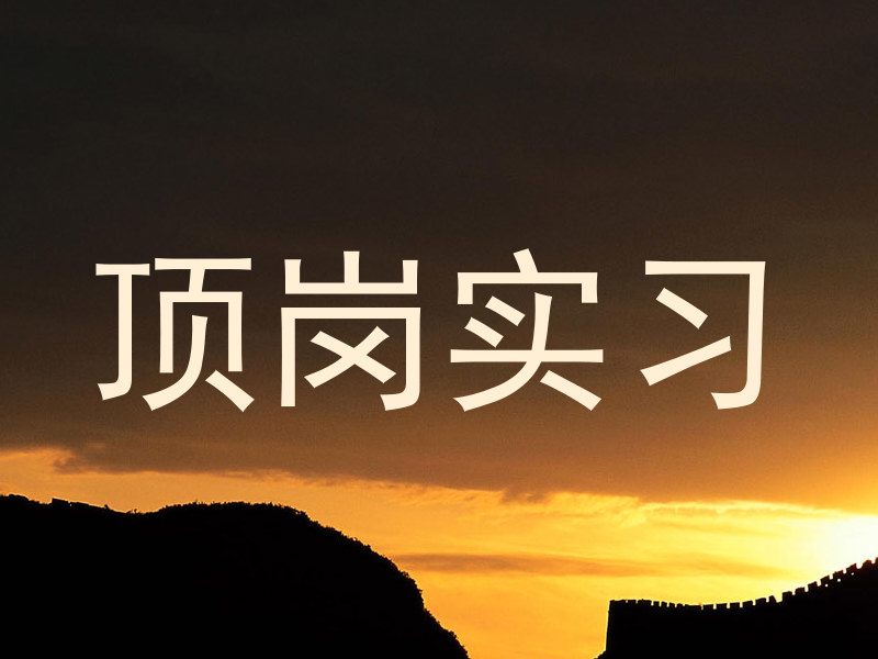 顶岗实习