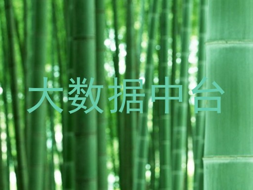 大数据中台