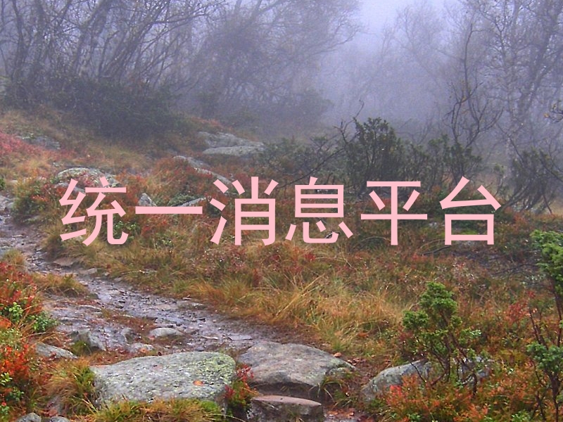 统一消息平台