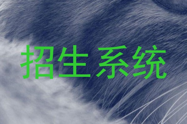 招生系统