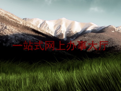 一站式网上办事大厅