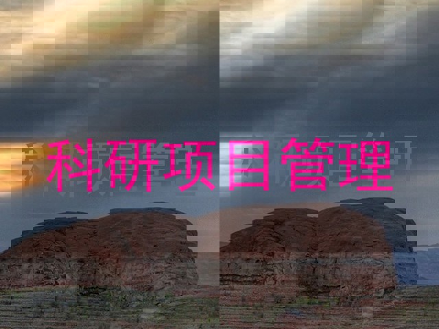 科研项目管理