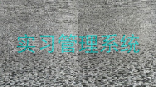 实习管理系统