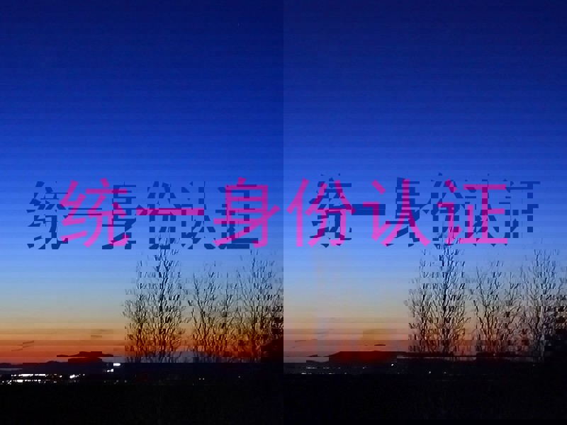 统一身份认证