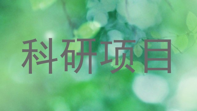 科研项目