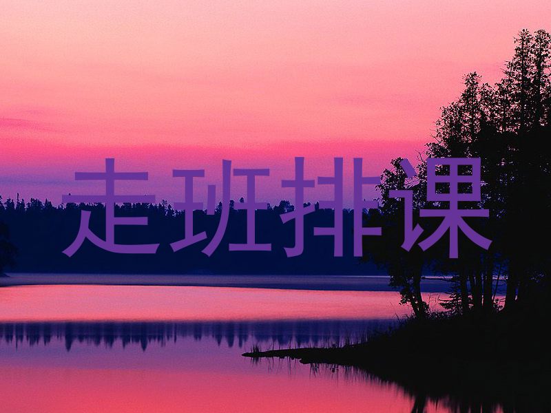 走班排课
