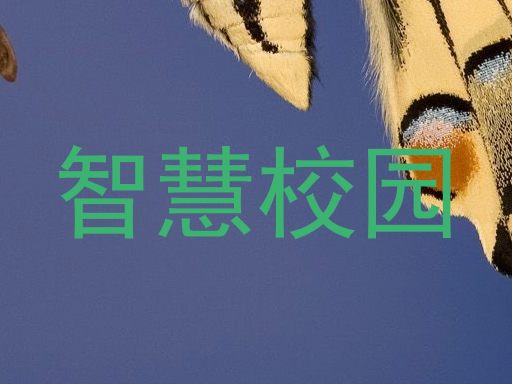 智慧校园