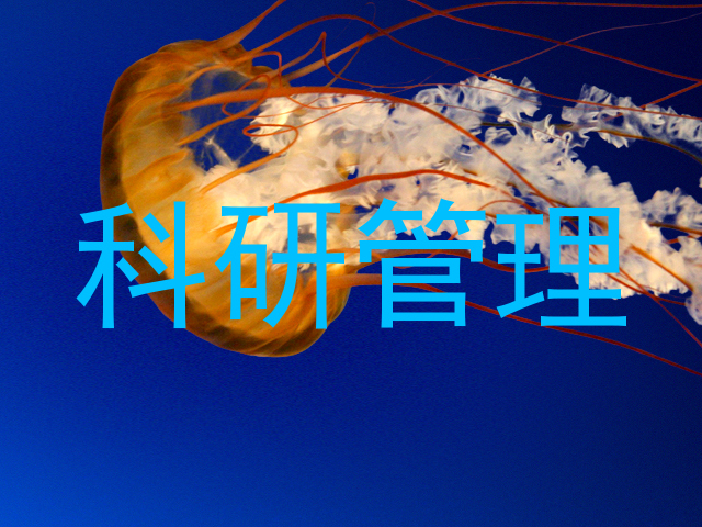 科研管理