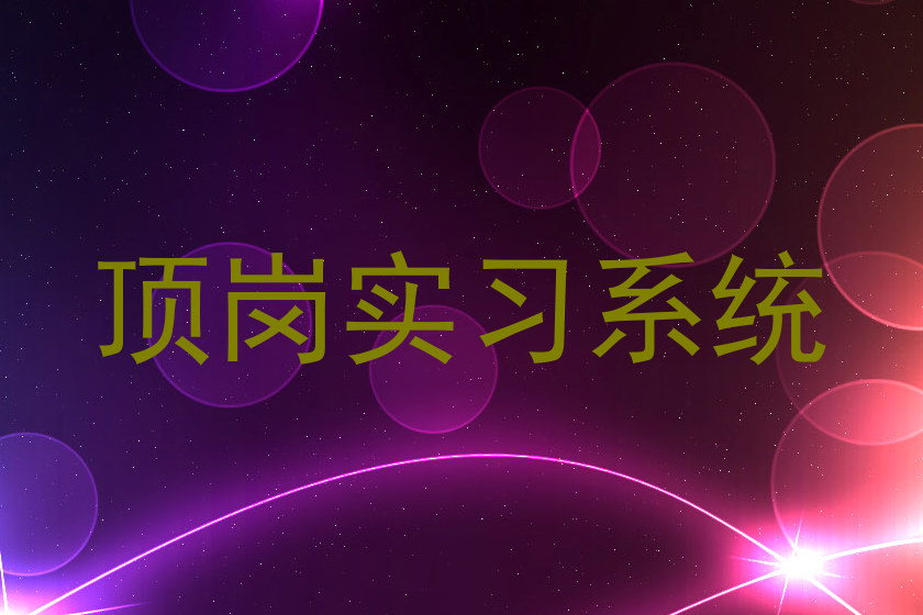 顶岗实习系统