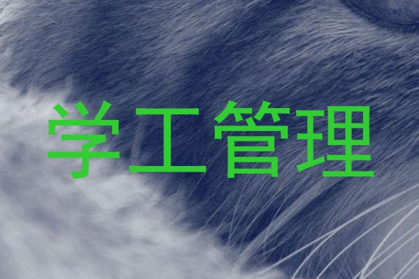 学工管理