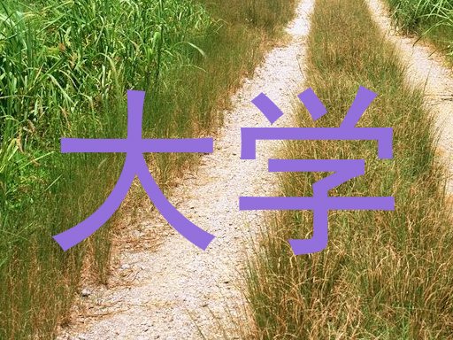 大学