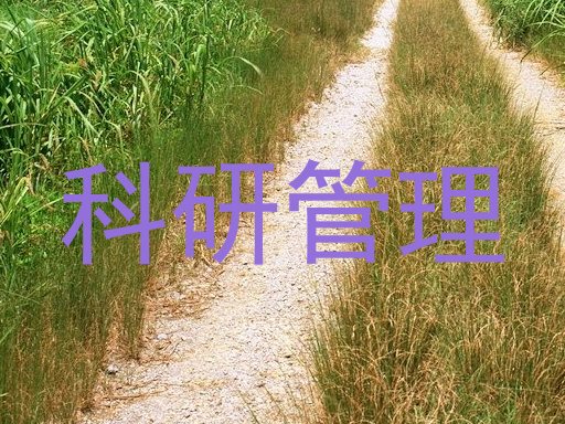 科研管理