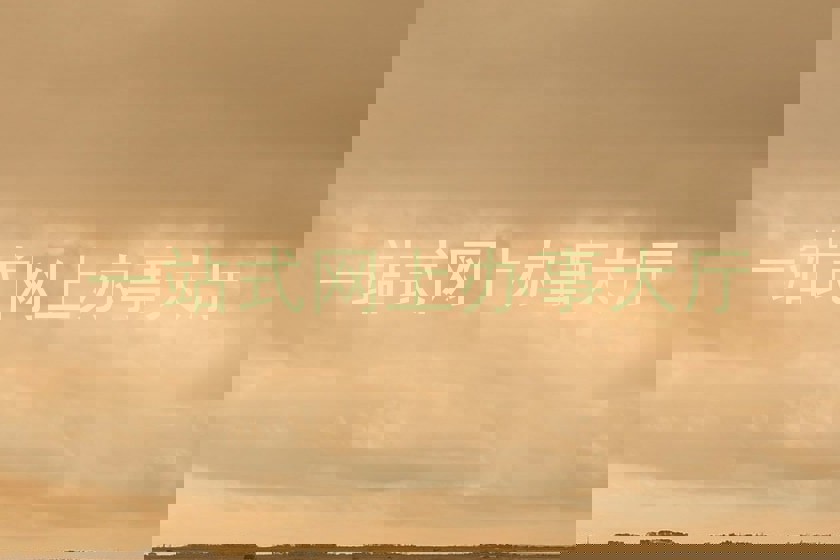 一站式网上办事大厅