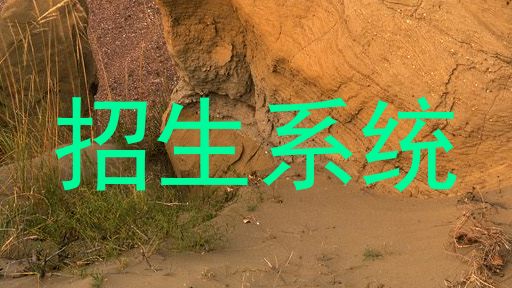 招生系统