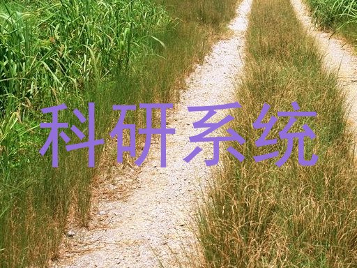 科研系统