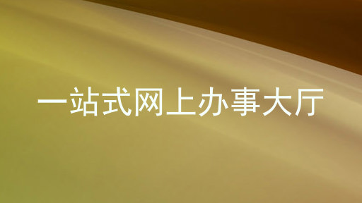 一站式网上办事大厅