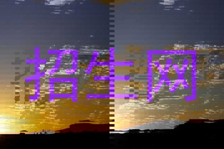 招生网