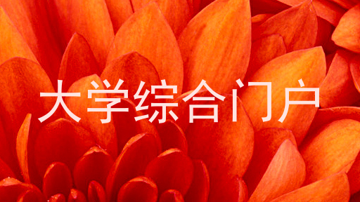 大学综合门户