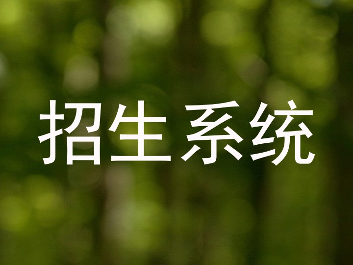 招生系统