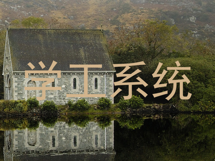 学工系统