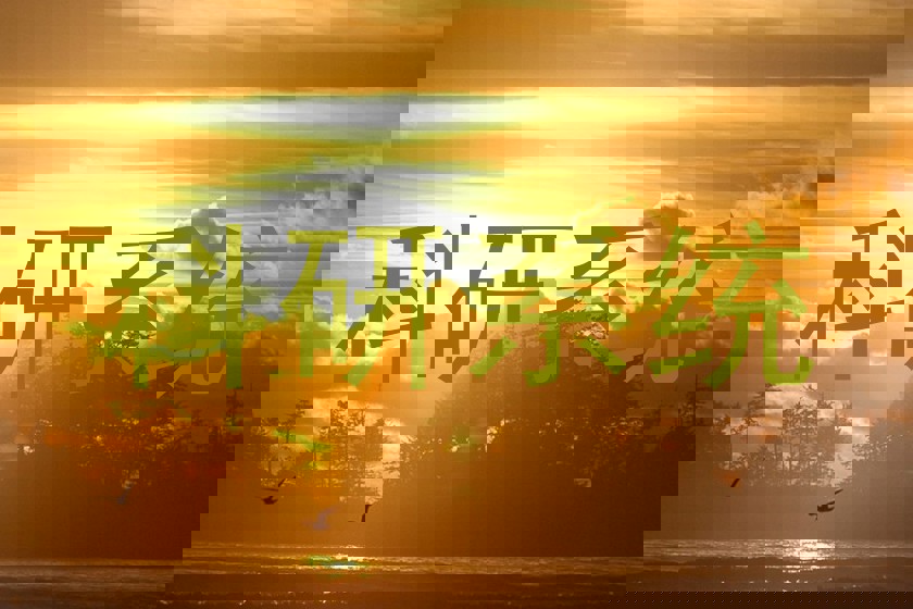 科研系统