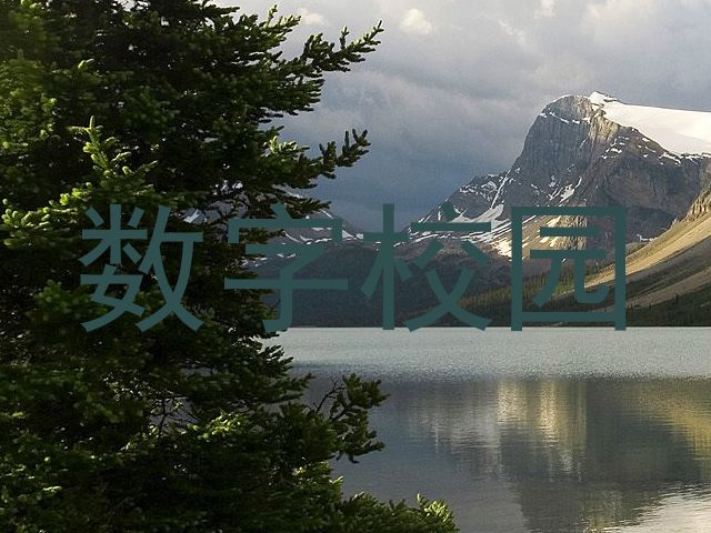 数字校园